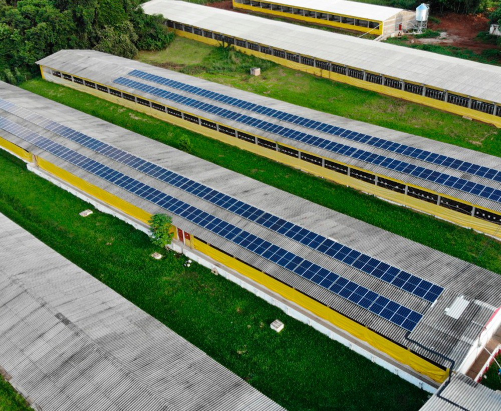Empresa 2